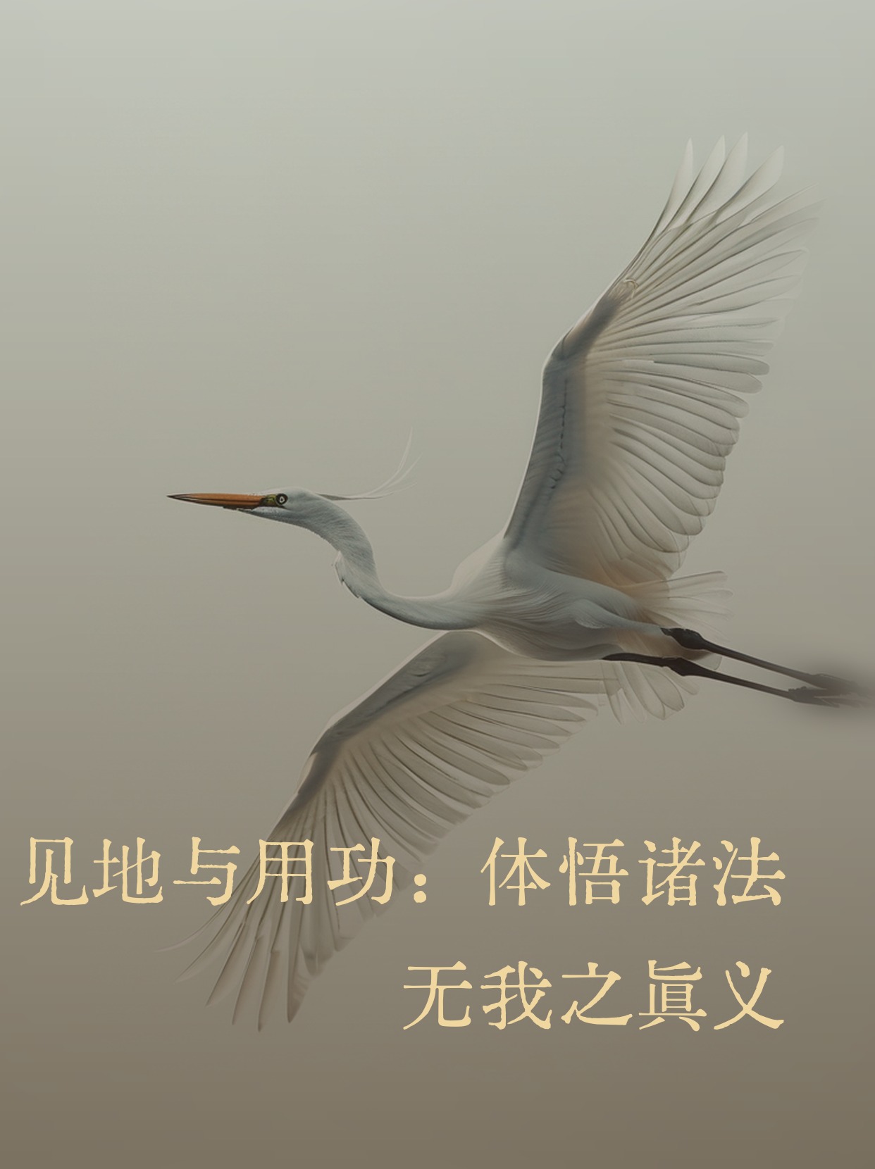 🕊️ Awakening to the Truth of Non-Self