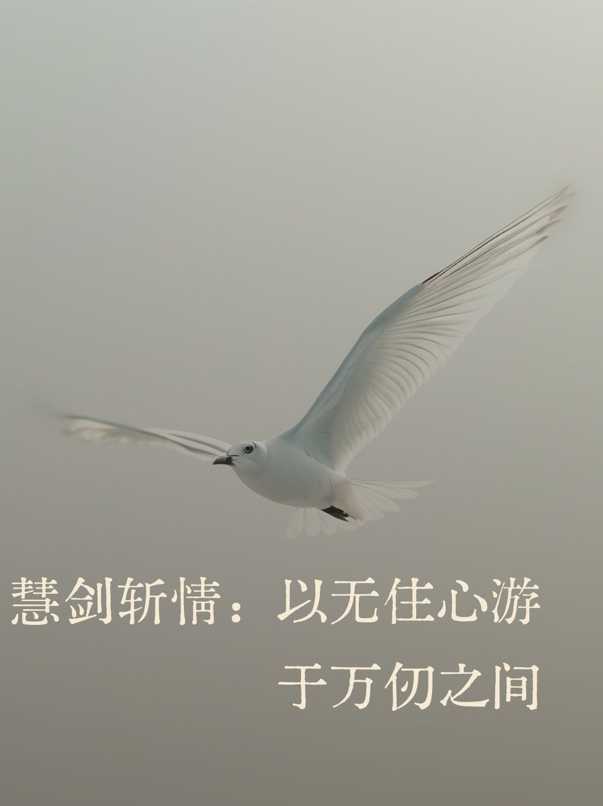 Dissolving Attachment: Finding Peace Beyond the Illusion 🌿